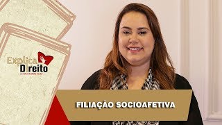 Explica Direito Filiação Socioafetiva  2019 [upl. by Orips]