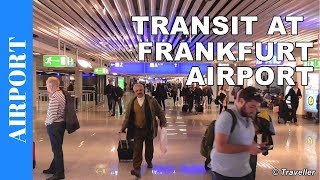 TRANSIT WALK AT FRANKFURT Airport FRA Terminal 1  Connection Flight Transfer Arriving amp Departing [upl. by Laspisa]